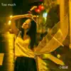 小拾柒 & 刘汉成 - Too Much (纯音乐) - Single